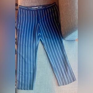 Banana Republic Navy and White Striped Trousers